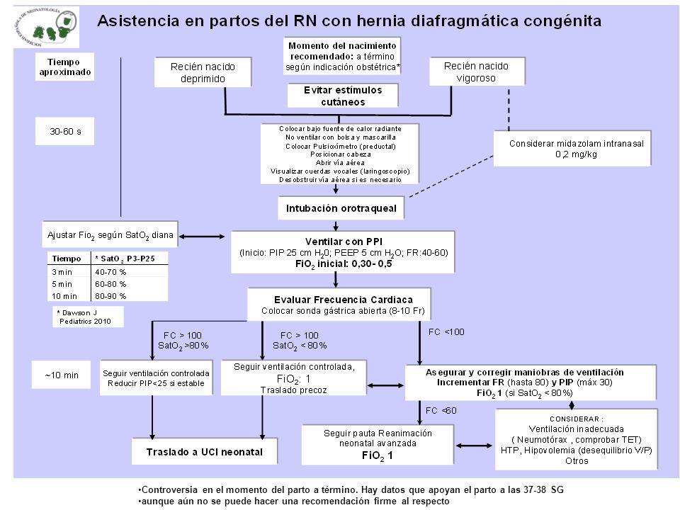 Rcp neonatal basico y avanzado
